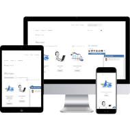 Website